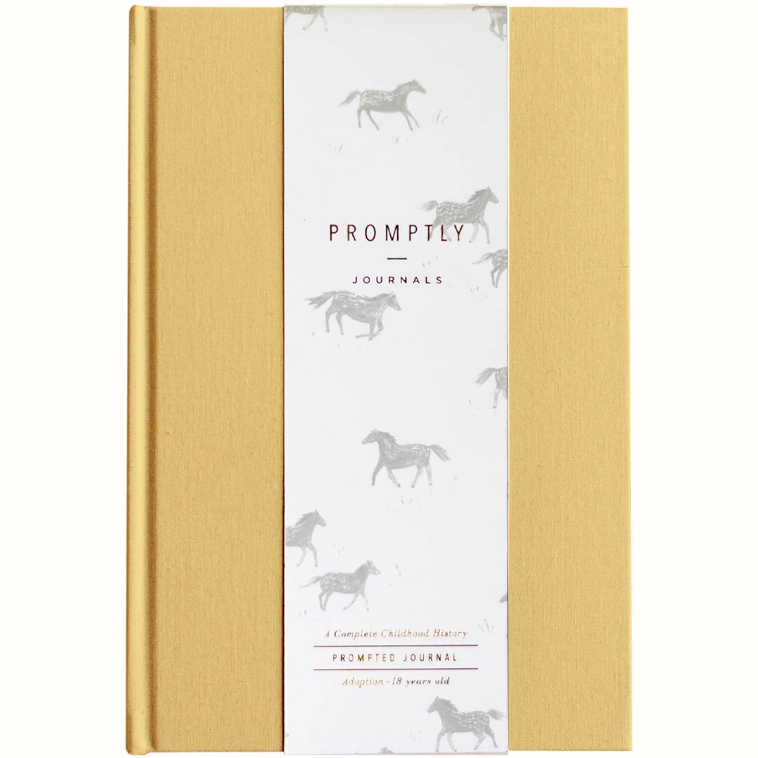 The Adoption Journal is a baby book made just for moms who need sections made special for the adoption process. This journal allows you to commemorate that special process. This journal is from Promptly and sold at BBB Supplies Craft Shop.