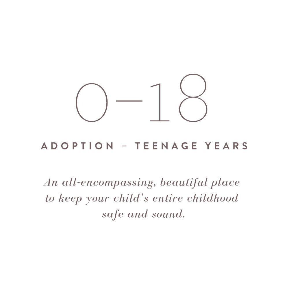 The Adoption Journal is a baby book made just for moms who need sections made special for the adoption process. This journal allows you to commemorate that special process. This journal is from Promptly and sold at BBB Supplies Craft Shop.