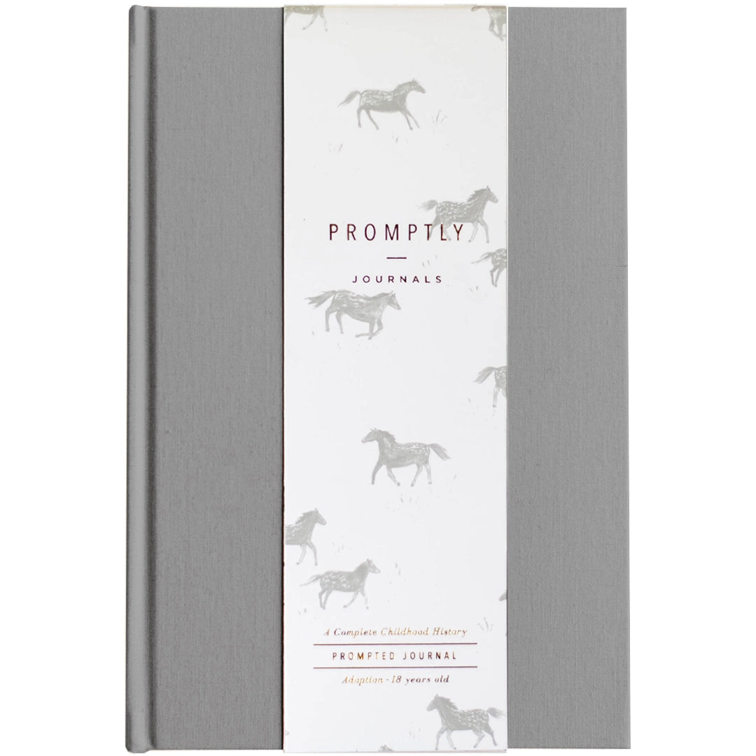 The Adoption Journal is a baby book made just for moms who need sections made special for the adoption process. This journal allows you to commemorate that special process. This journal is from Promptly and sold at BBB Supplies Craft Shop.