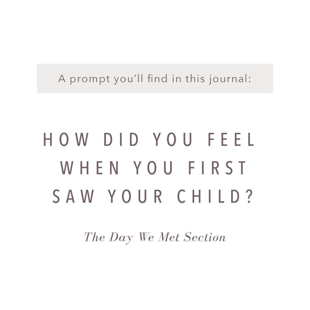 The Adoption Journal is a baby book made just for moms who need sections made special for the adoption process. This journal allows you to commemorate that special process. This journal is from Promptly and sold at BBB Supplies Craft Shop.