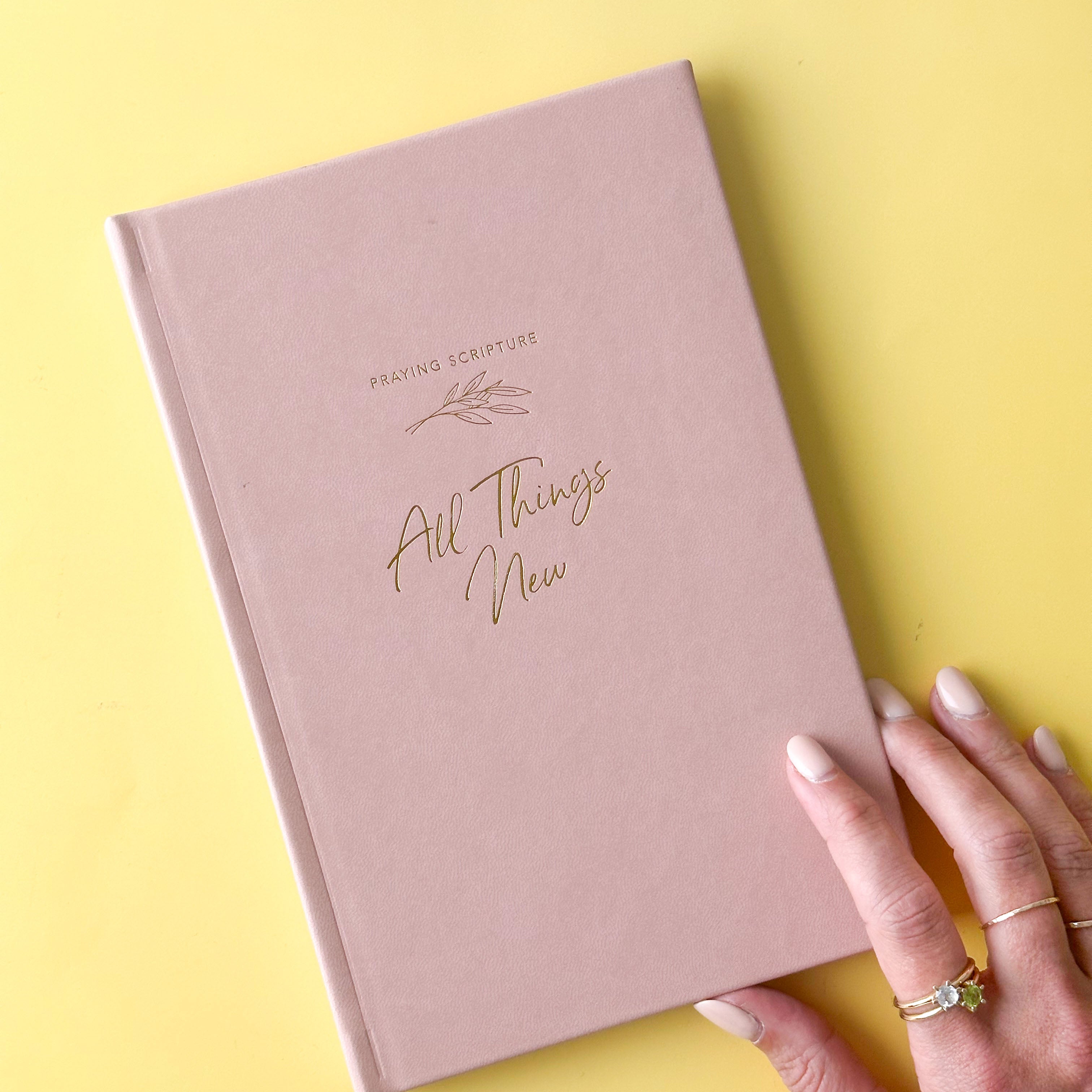 A Bible journal designed to help users explore the theme of renewal and new beginnings through scripture and reflection. This planner is from The Daily Grace Co. and sold at BBB Supplies Craft Shop.