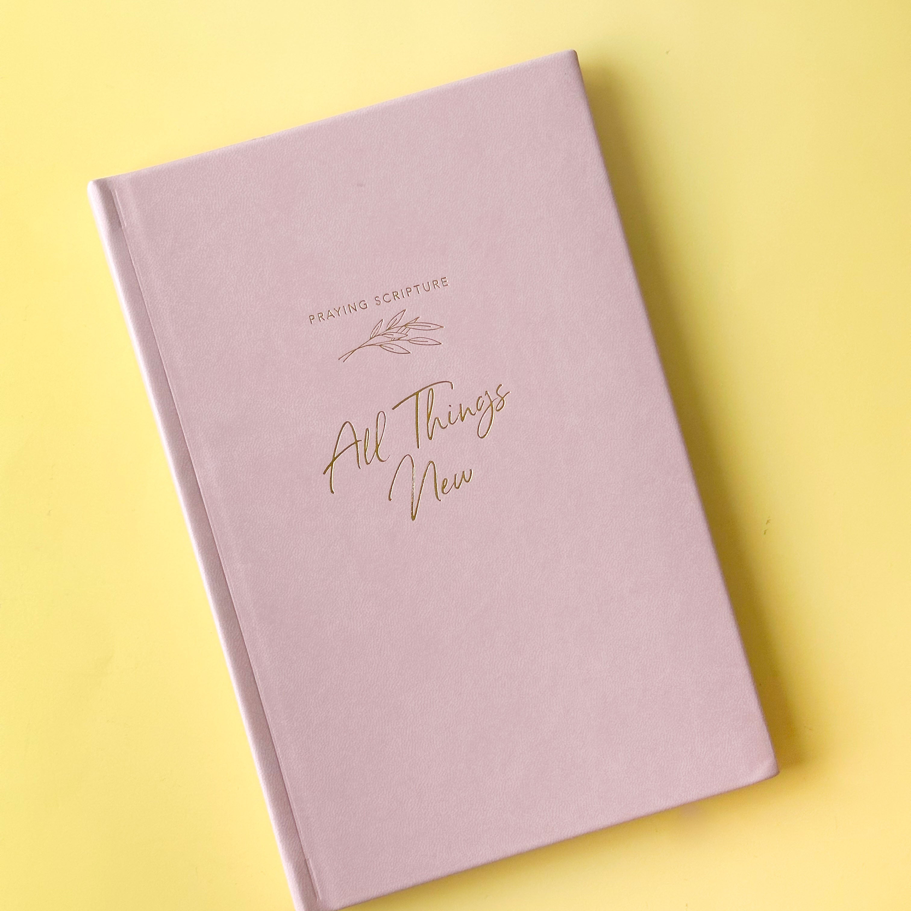 A Bible journal designed to help users explore the theme of renewal and new beginnings through scripture and reflection. This planner is from The Daily Grace Co. and sold at BBB Supplies Craft Shop.