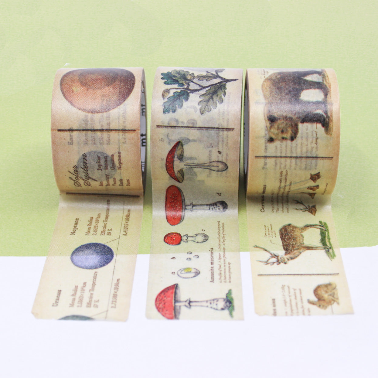Discover our Encyclopedia Washi Tape Collection, a trio of captivating tapes that transport you into the world of animals, plants, and space. This tape is from MT Brand Masking Tape and sold at BBB Supplies Craft Shop.
