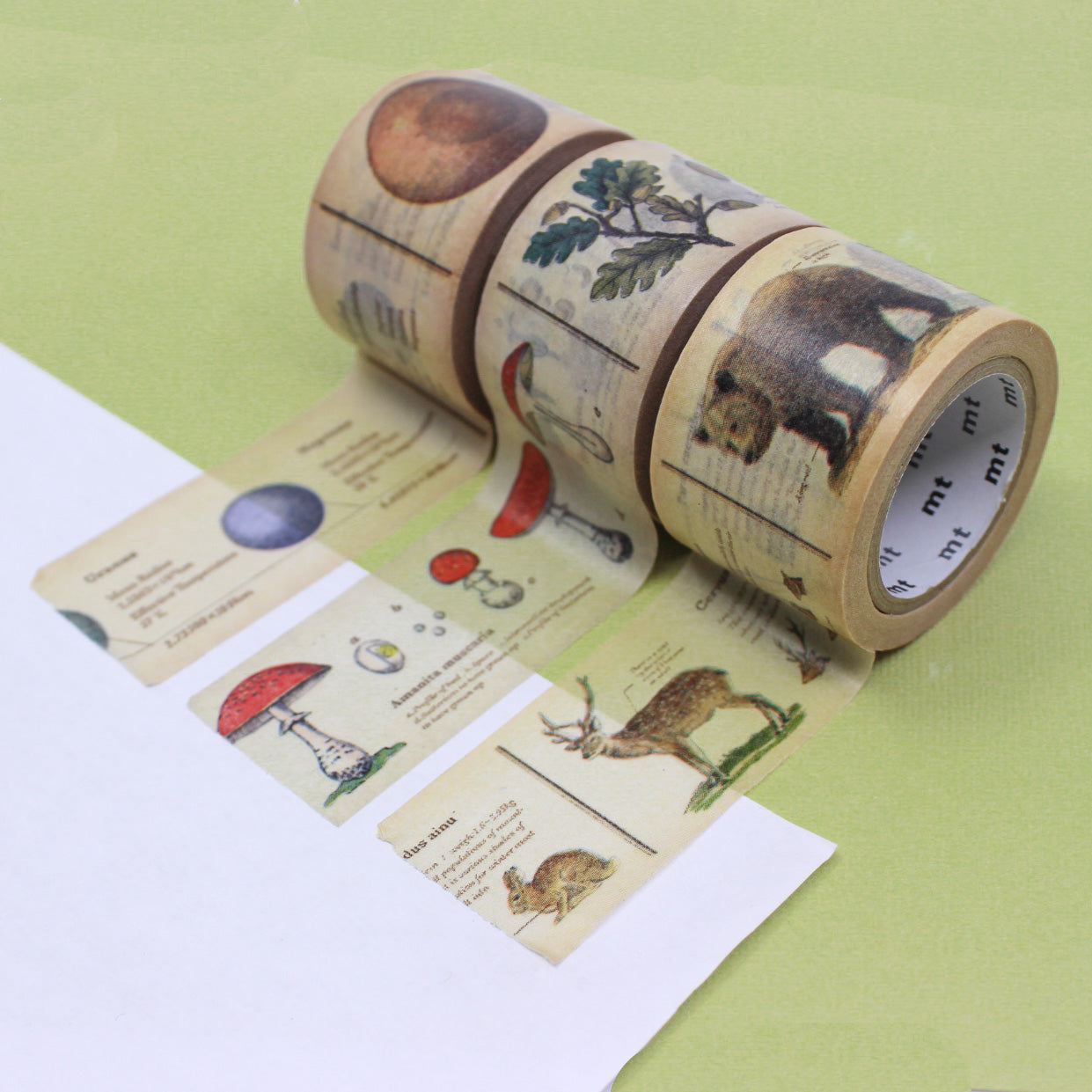 Discover our Encyclopedia Washi Tape Collection, a trio of captivating tapes that transport you into the world of animals, plants, and space. This tape is from MT Brand Masking Tape and sold at BBB Supplies Craft Shop.