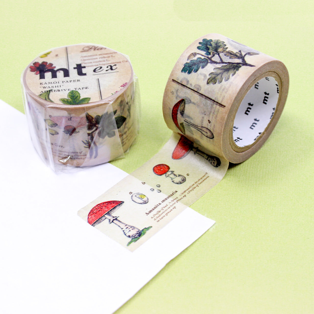 Discover our Encyclopedia Washi Tape Collection, a trio of captivating tapes that transport you into the world of animals, plants, and space. This tape is from MT Brand Masking Tape and sold at BBB Supplies Craft Shop.