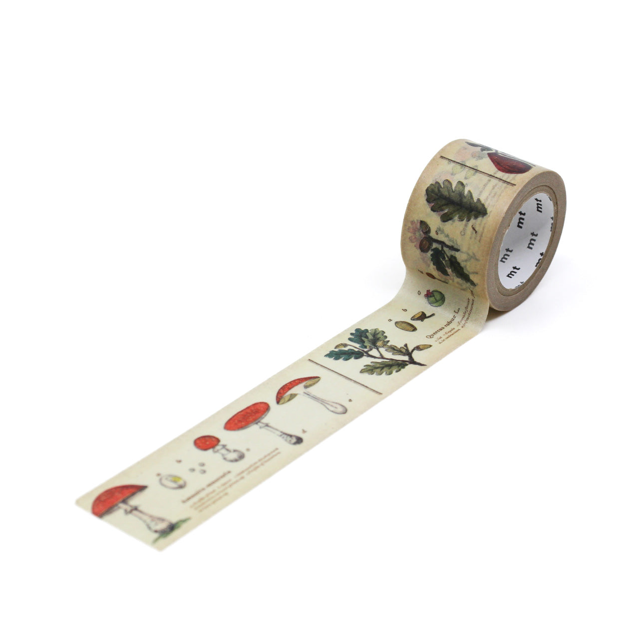 Discover our Encyclopedia Washi Tape Collection, a trio of captivating tapes that transport you into the world of animals, plants, and space. This tape is from MT Brand Masking Tape and sold at BBB Supplies Craft Shop.