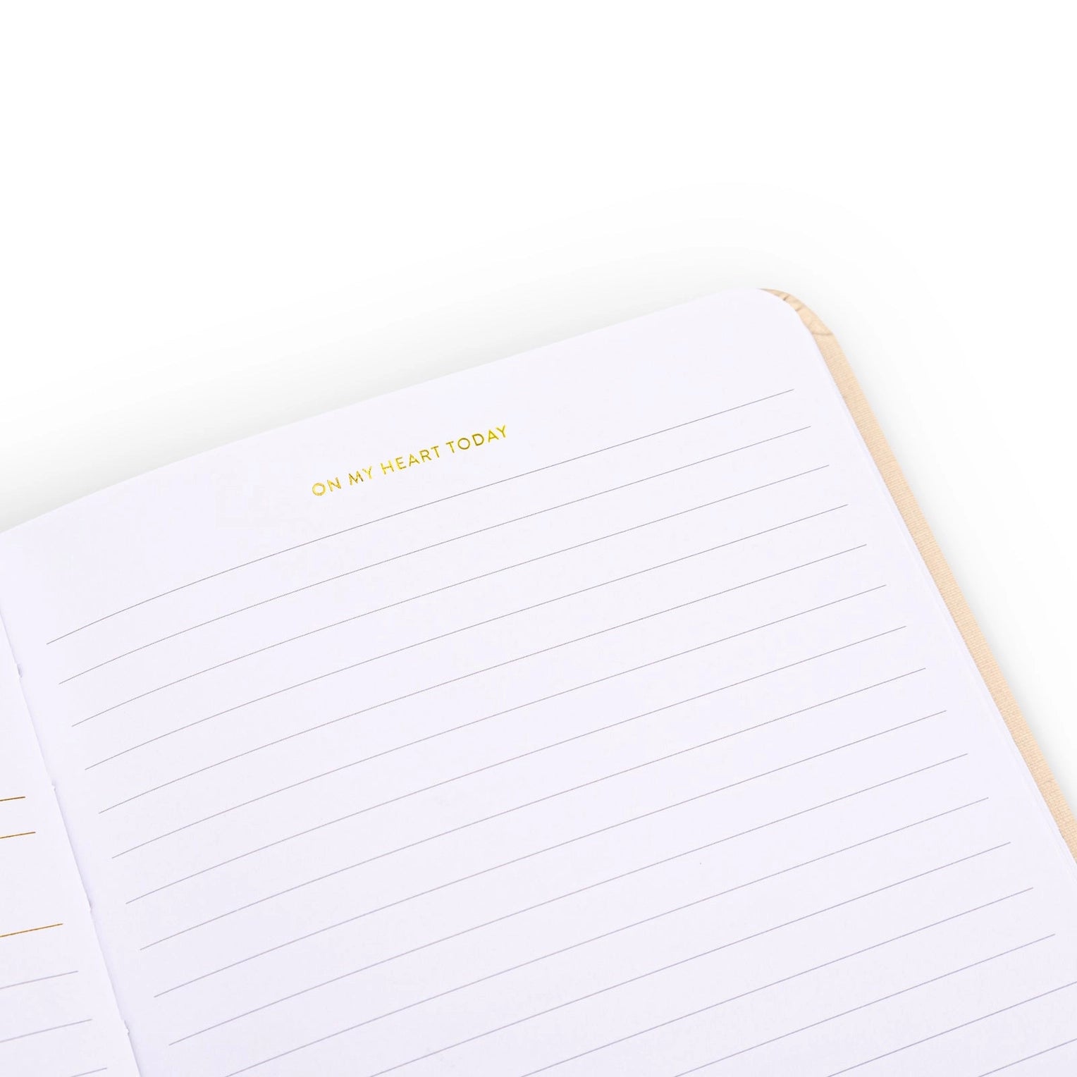 The Write the Word Bible Journal: A unique journaling experience for connecting with scripture, providing space to write out verses, reflect, and respond creatively from BBB Supplies Craft Shop.