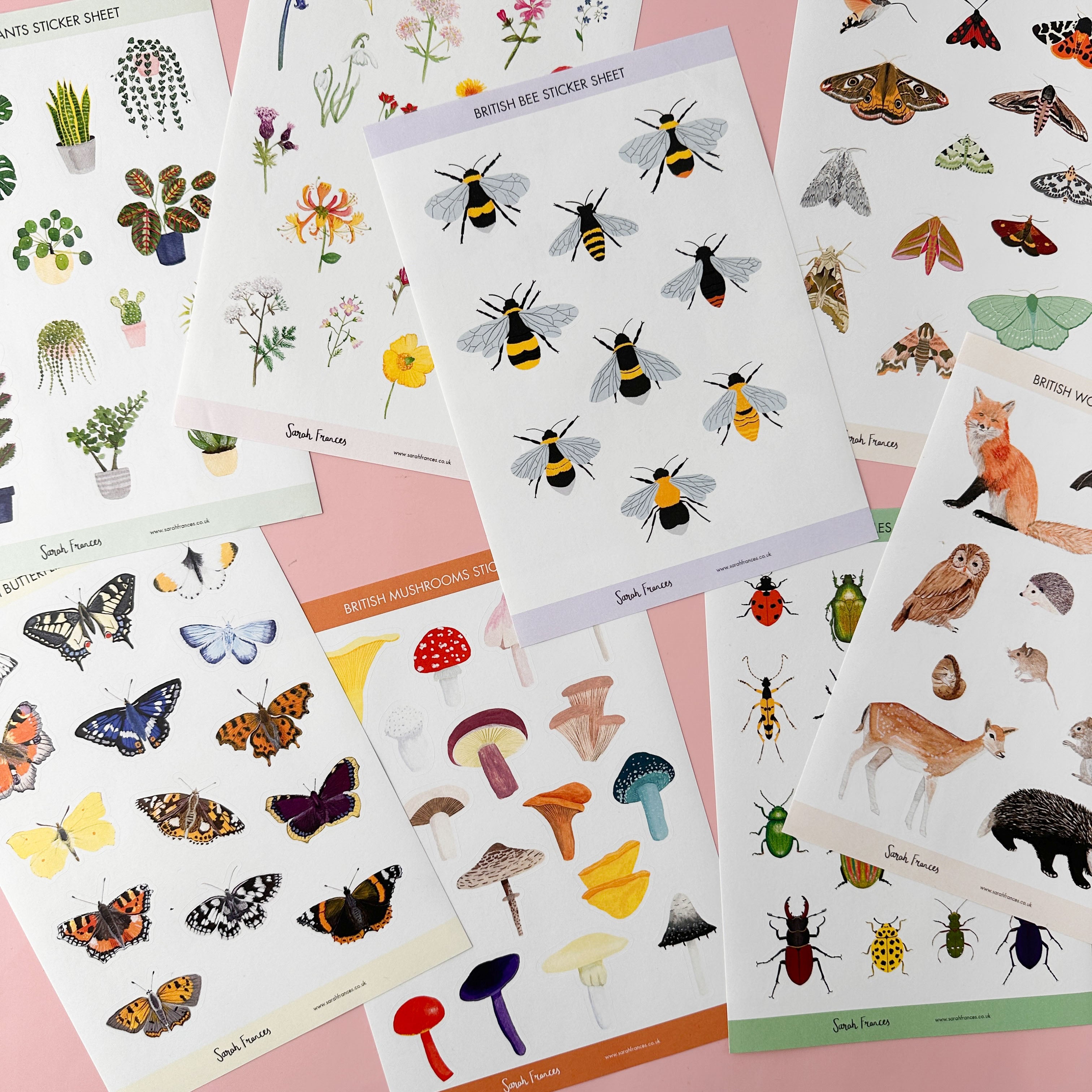 Colorful Mushrooms Illustrations Stickers
