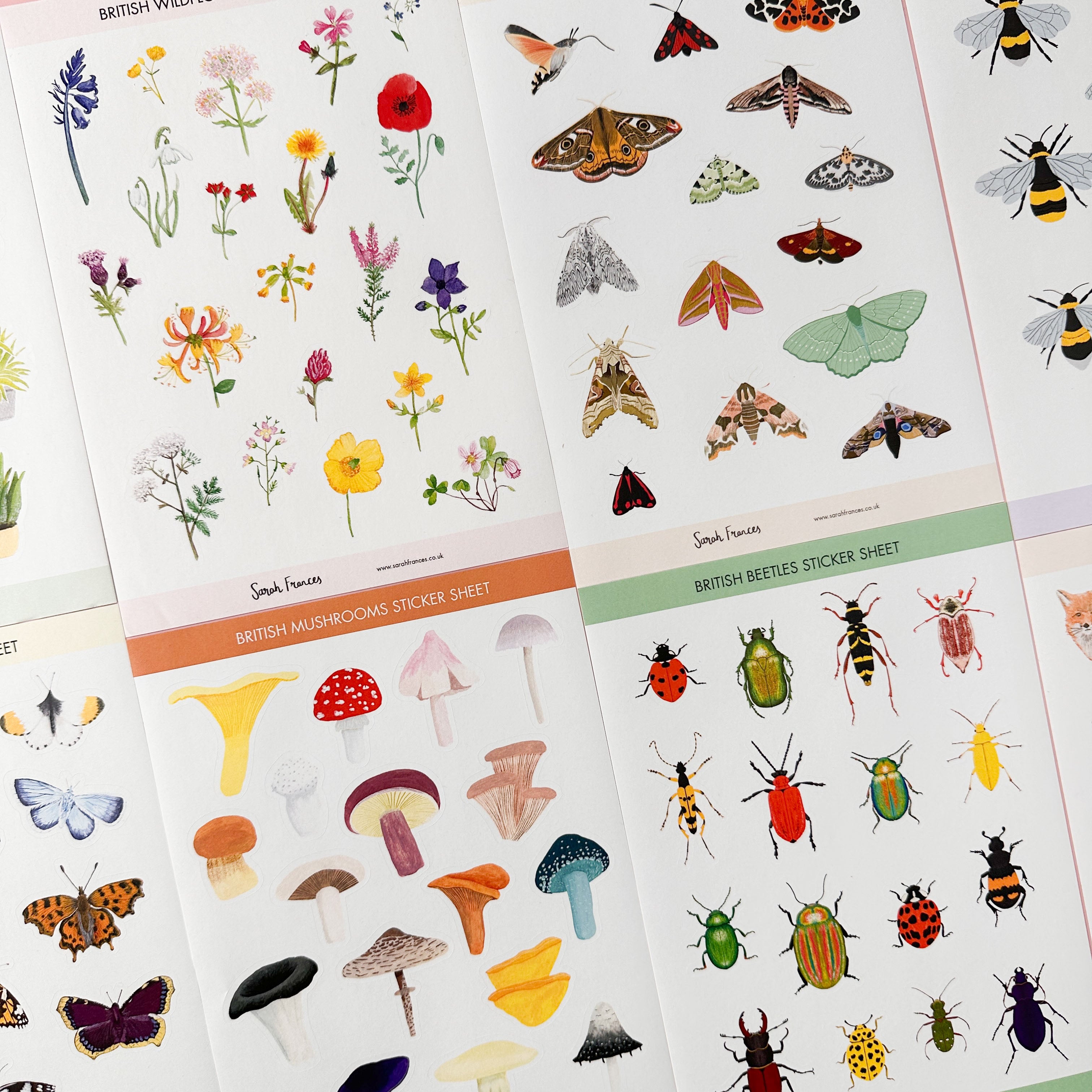 Colorful Mushrooms Illustrations Stickers