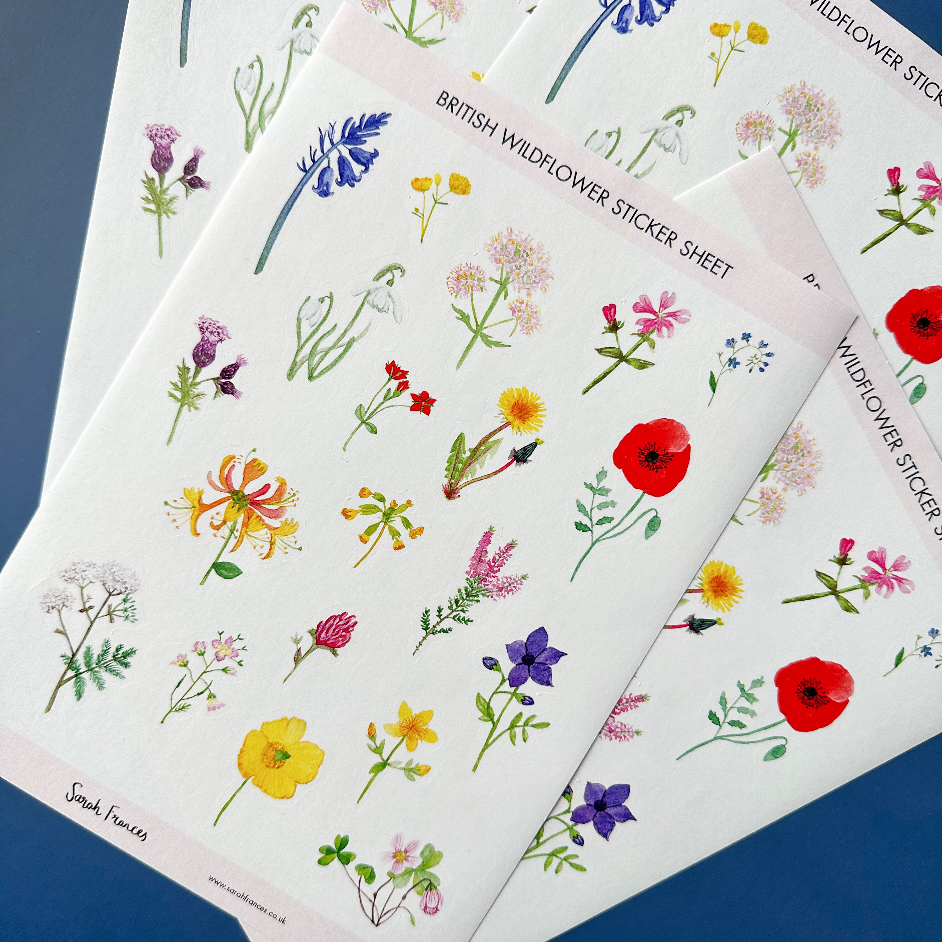 Embrace the beauty of British flora with our British Florals Sticker Sheet, featuring charming illustrations of native British flowers. Ideal for adding a touch of natural elegance and color to your crafts. These stickers are designed by Sarah Frances and sold at BBB Supplies Craft Shop.