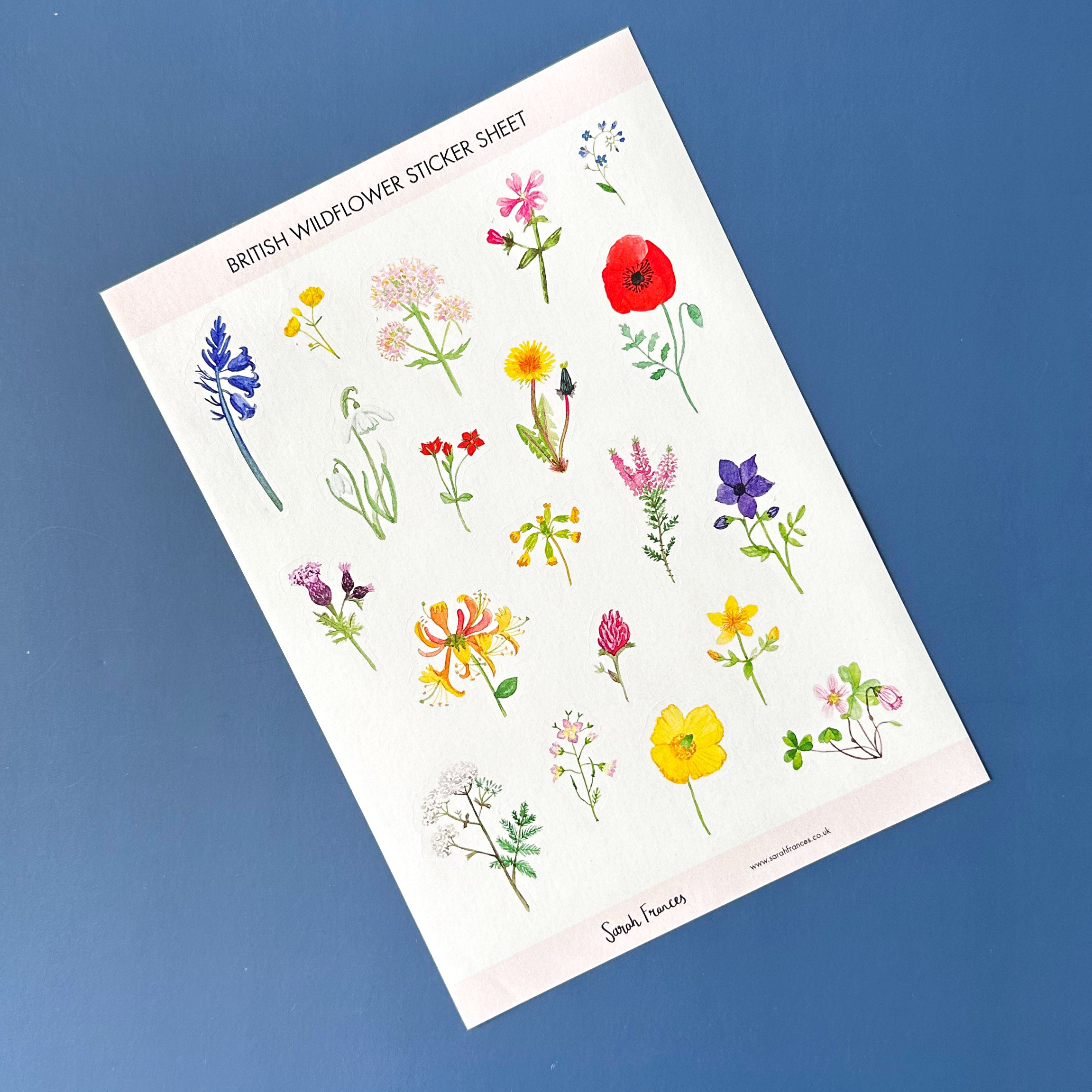 Embrace the beauty of British flora with our British Florals Sticker Sheet, featuring charming illustrations of native British flowers. Ideal for adding a touch of natural elegance and color to your crafts. These stickers are designed by Sarah Frances and sold at BBB Supplies Craft Shop.