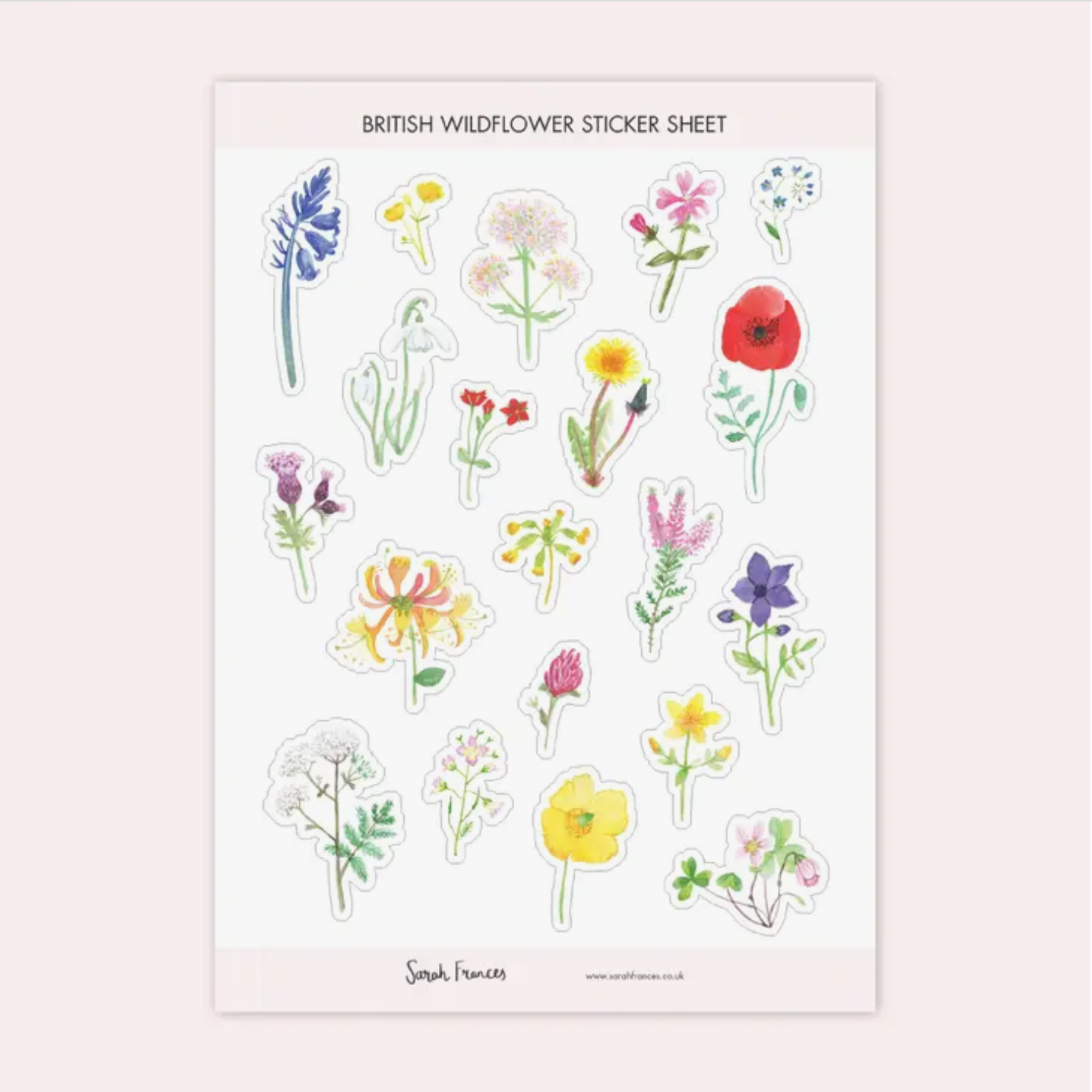 Embrace the beauty of British flora with our British Florals Sticker Sheet, featuring charming illustrations of native British flowers. Ideal for adding a touch of natural elegance and color to your crafts. These stickers are designed by Sarah Frances and sold at BBB Supplies Craft Shop.