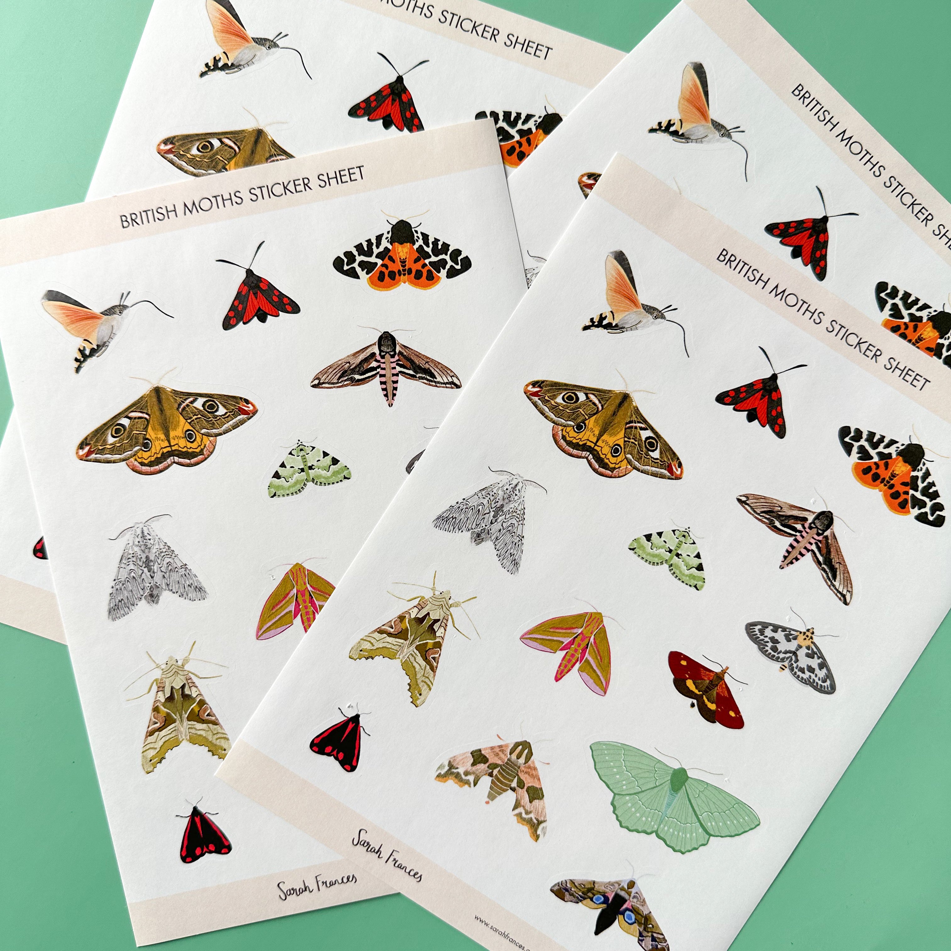 Illuminate your crafts with our British Moth Sticker Sheet, adorned with charming illustrations of native British moth species. Ideal for adding a touch of nocturnal wonder and beauty to your crafts. These stickers are designed by Sarah Frances and sold at BBB Supplies Craft Shop.