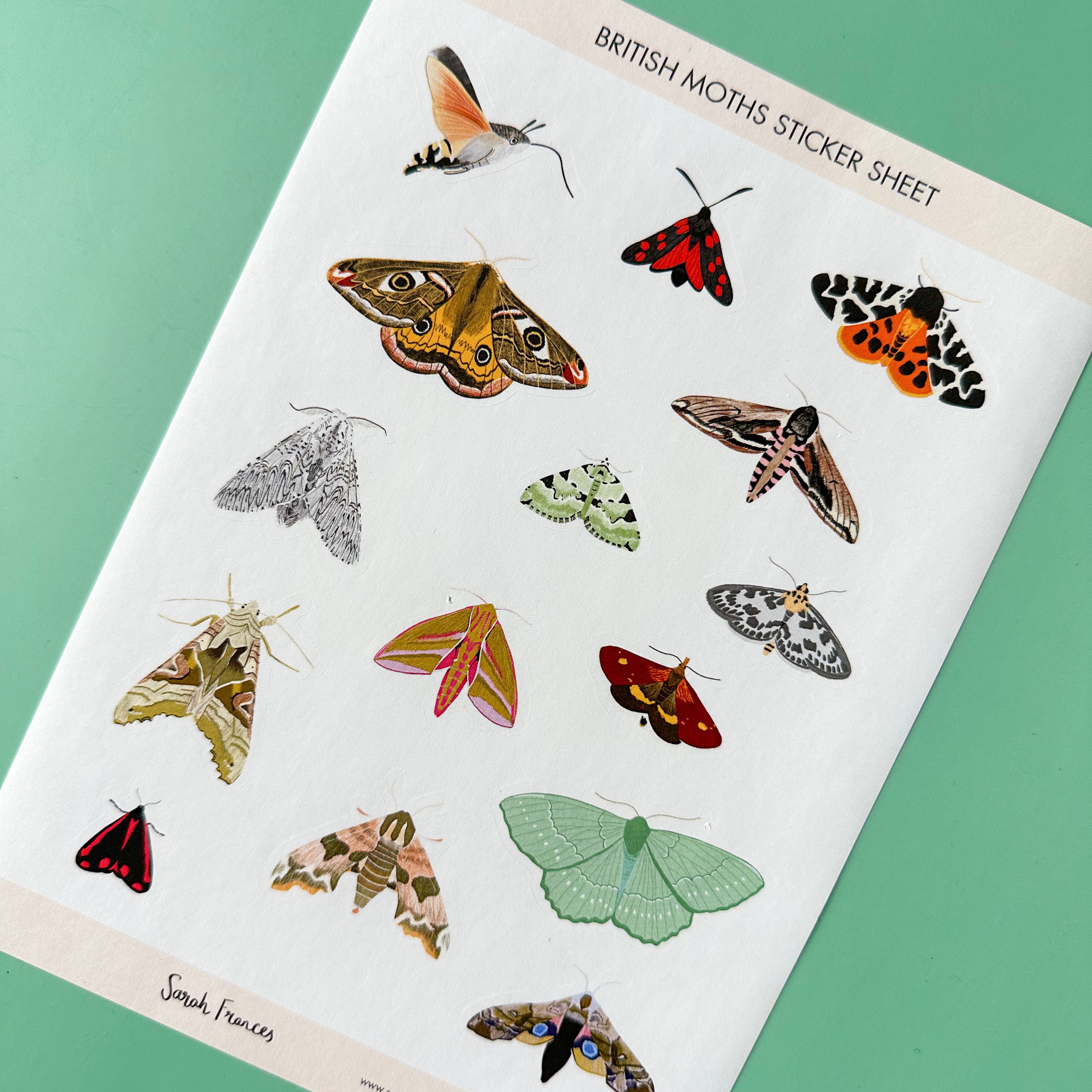 Illuminate your crafts with our British Moth Sticker Sheet, adorned with charming illustrations of native British moth species. Ideal for adding a touch of nocturnal wonder and beauty to your crafts. These stickers are designed by Sarah Frances and sold at BBB Supplies Craft Shop.