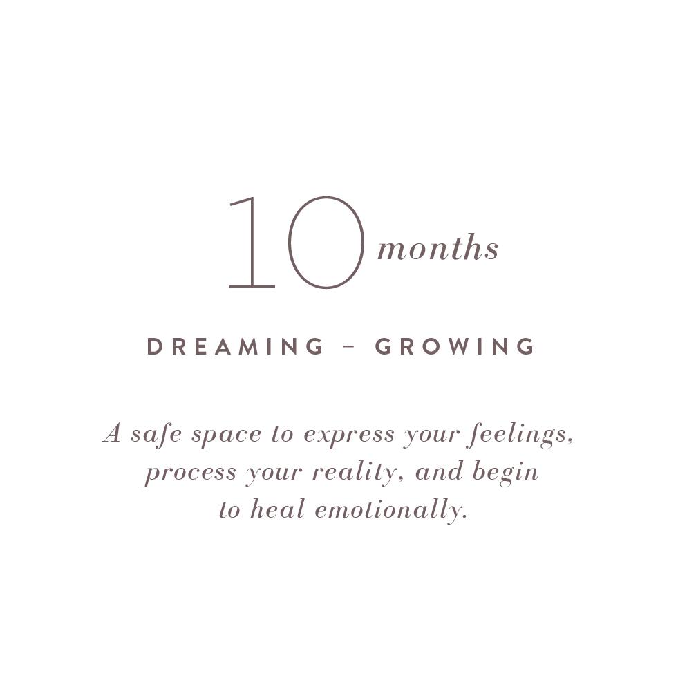 This fertility journal offer prompts to help you write about your struggle and work through the process of the disappointment of the fertility at your pace. This journal is from promptly and sold at BBB Supplies Craft Shop.