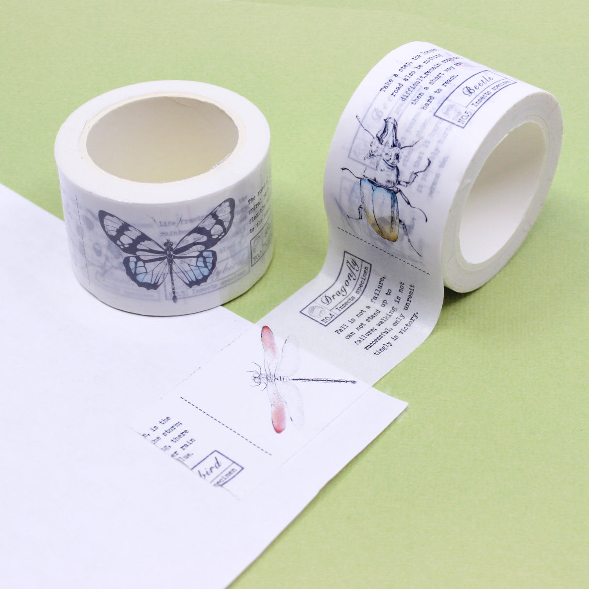 Entomologist and Zoology Insects Science Washi Tape, showcasing meticulously illustrated insects and scientific details, perfect for enthusiasts and science-themed crafting. This tape is sold at BBB Supplies Craft Shop.