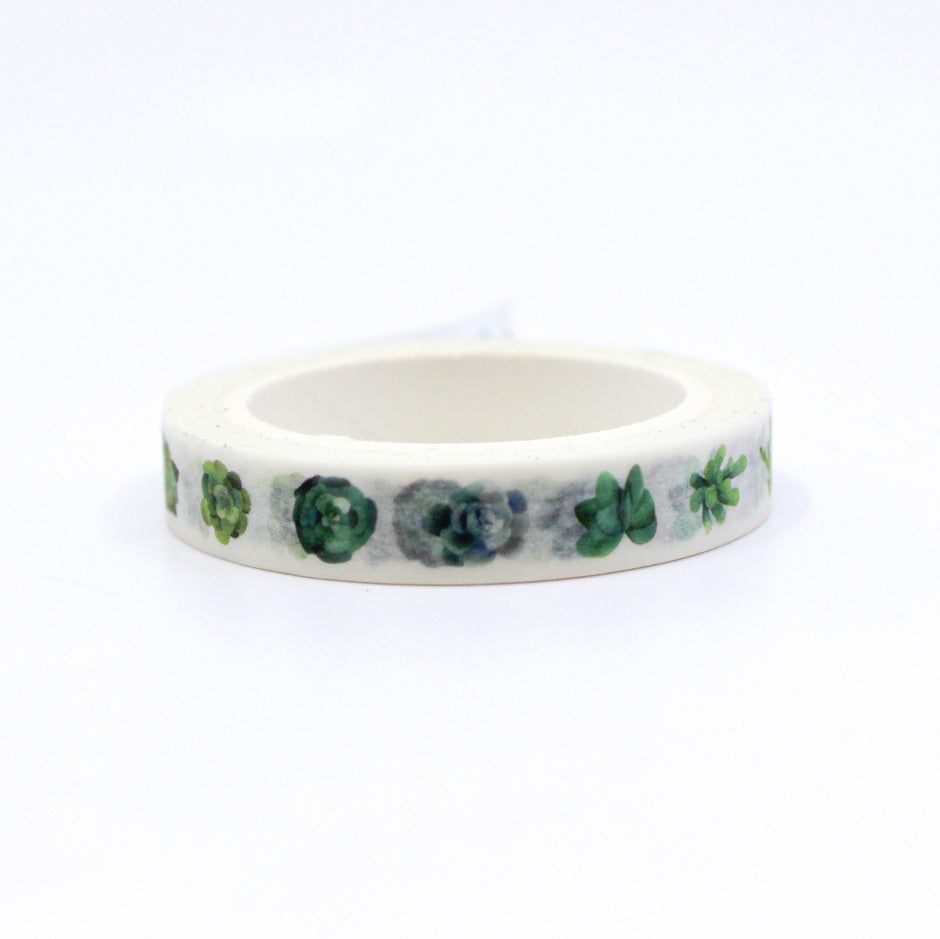 Bring a touch of nature to your projects with our Narrow Succulent Plants Washi Tape, featuring delicate and detailed succulent illustrations. Ideal for adding a touch of botanical charm to your crafts. This tape is sold at BBB Supplies Craft Shop.