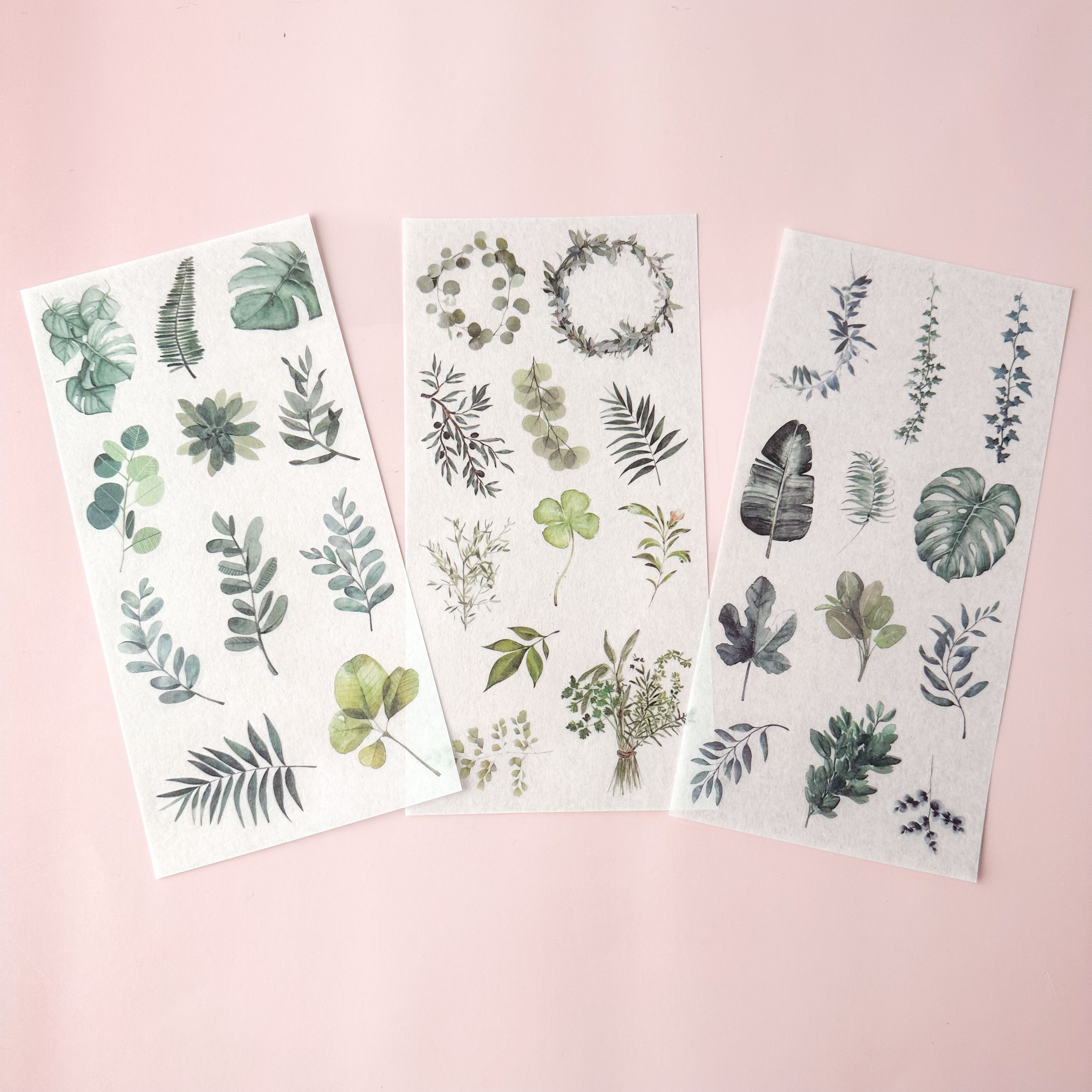 Botanical stickers with ferns, leaves, and tropical plant illustrations.