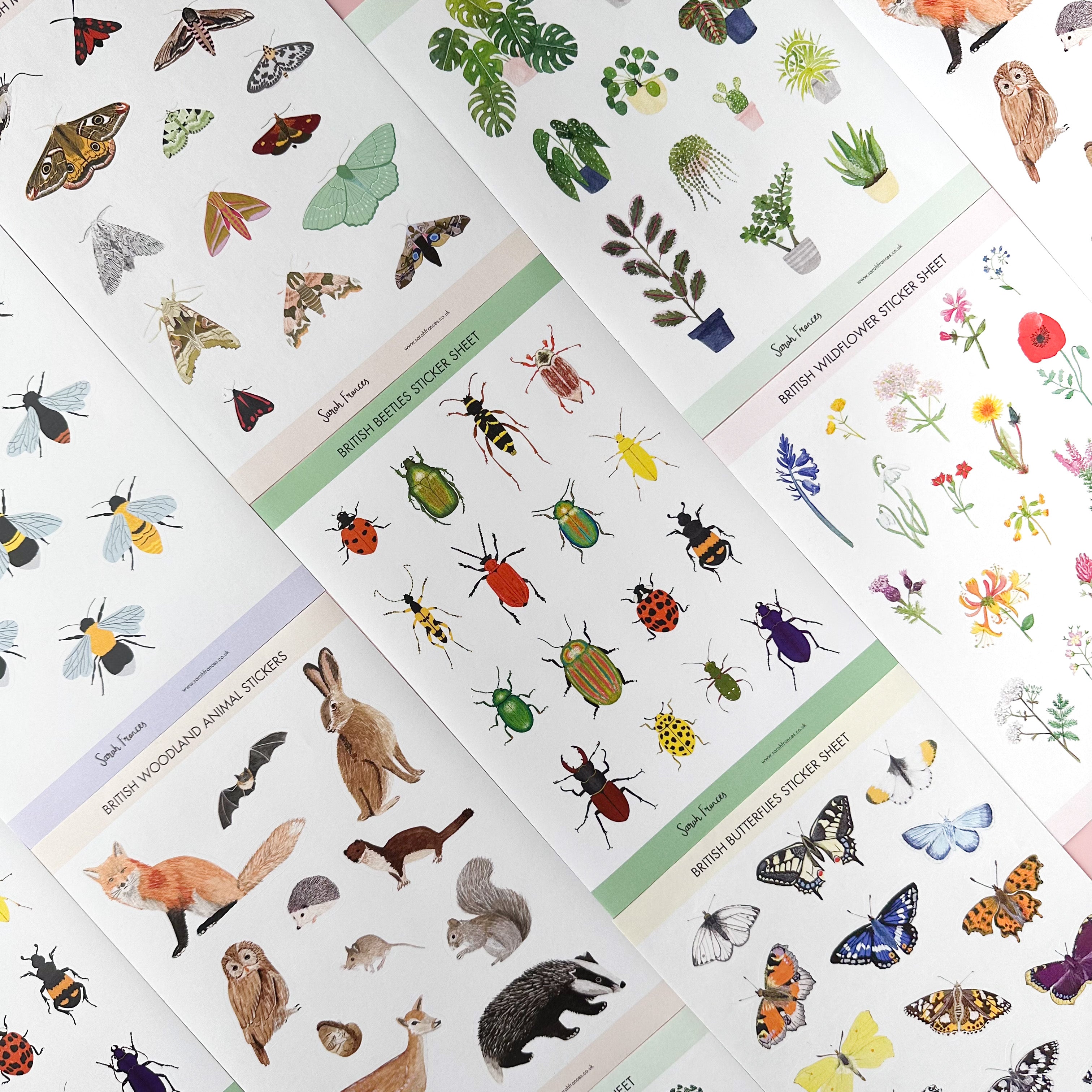 Celebrate the grace of British butterflies with our British Butterflies Sticker Sheet, featuring delicate illustrations of native butterfly species. Ideal for adding a touch of natural beauty and elegance to your crafts. These stickers are designed by Sarah Frances and sold at BBB Supplies Craft Shop.