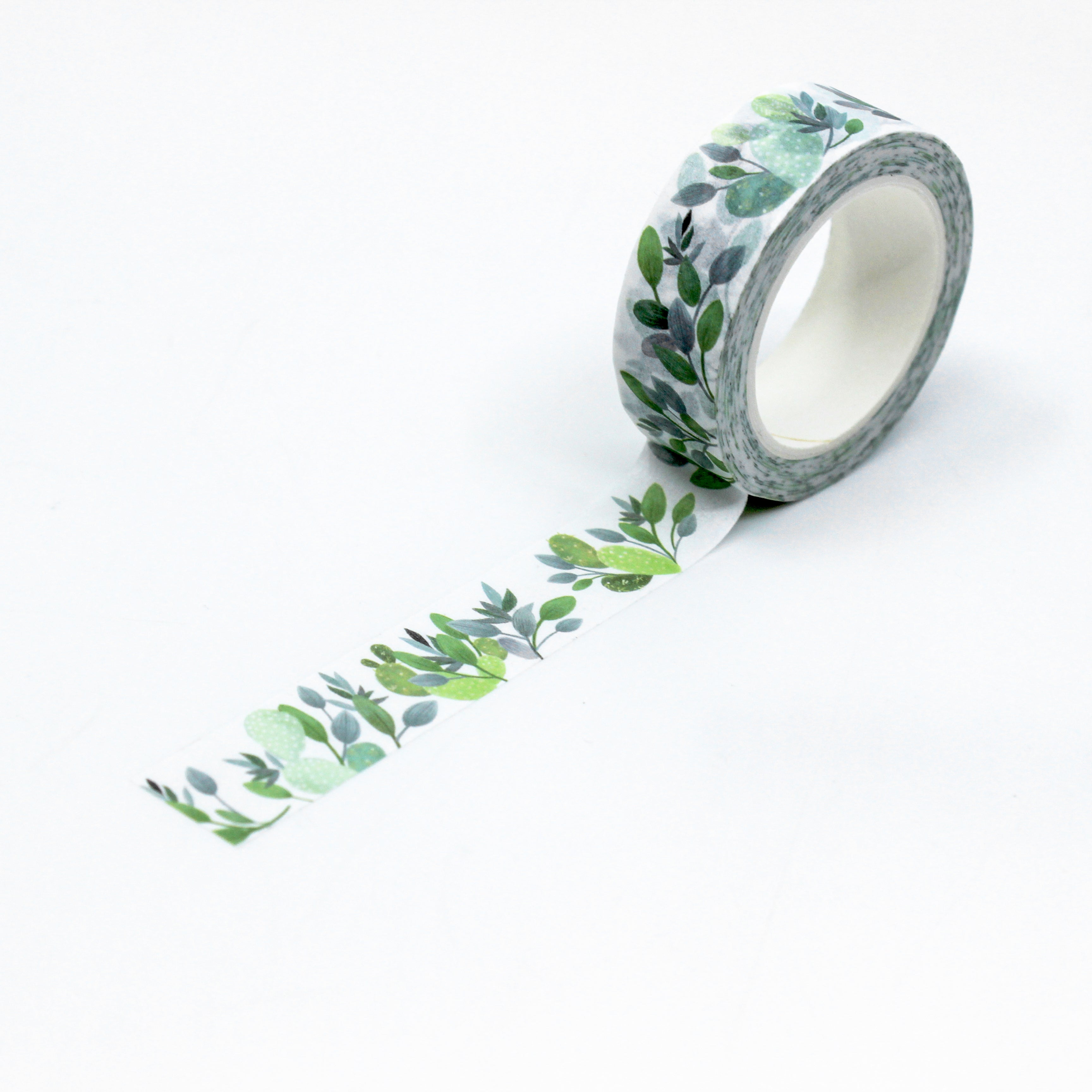 This a full pattern repeat view of cactus and succulent collections pattern washi tape from BBB Supplies Craft Shop