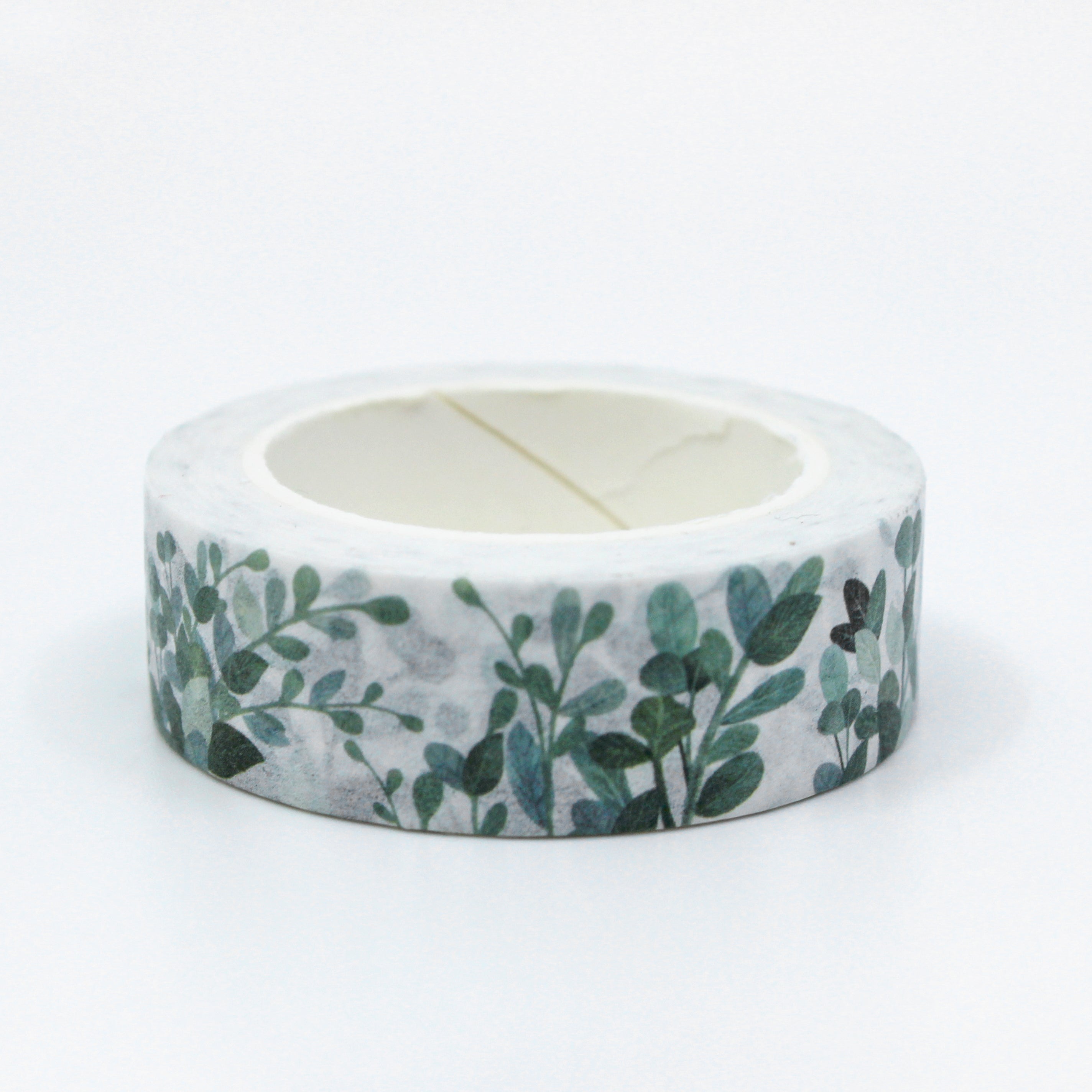 This a cute view of silver dollar eucalyptus collections washi tape from BBB Supplies Craft Shop