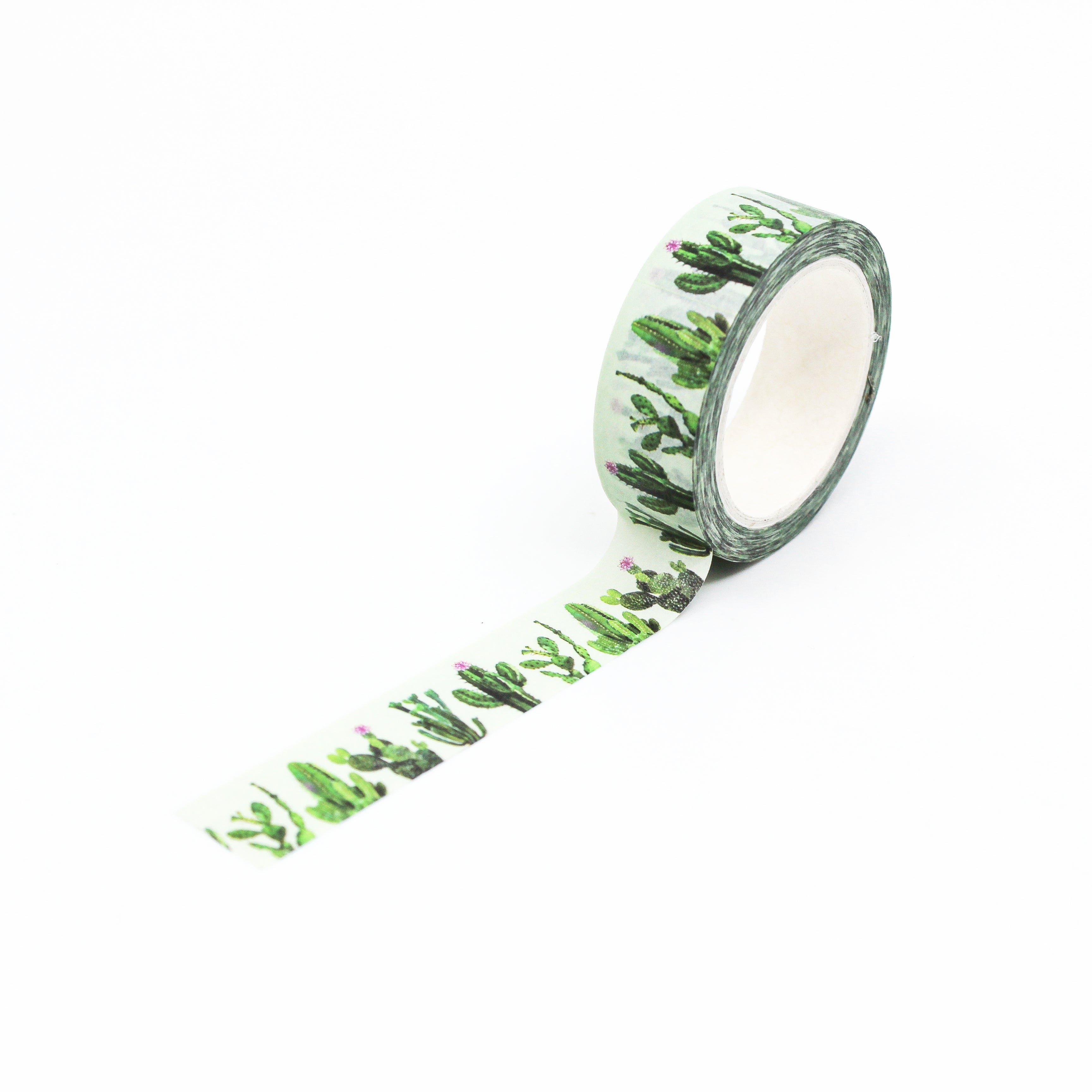 This is a full pattern repeat view of succulent plant themed washi tape from BBB Supplies Craft Shop