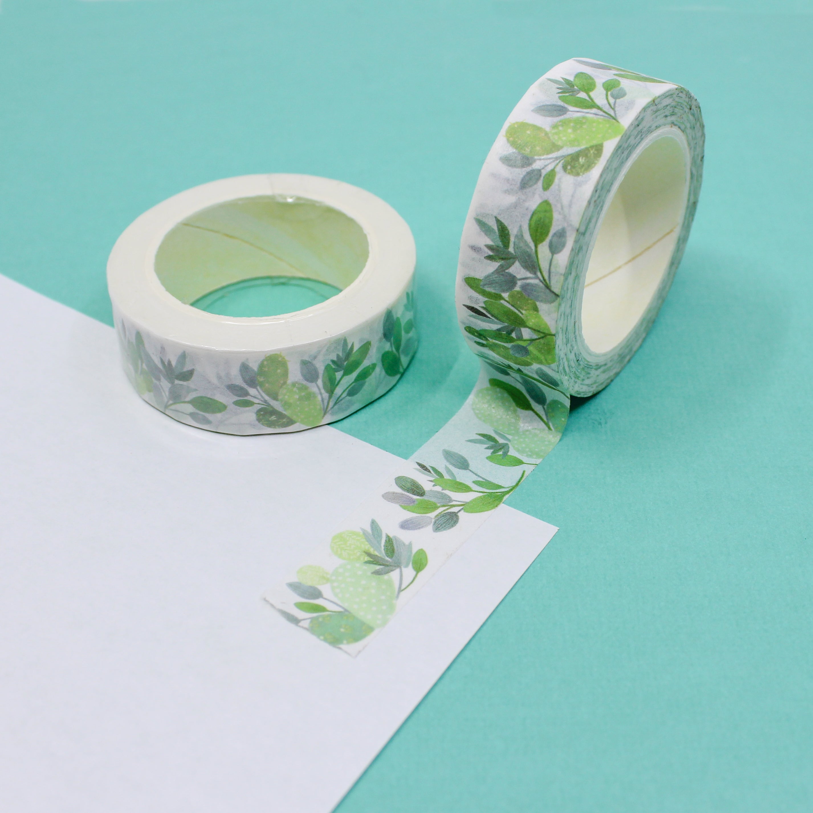 This a cactus and succulent collections pattern washi tape from BBB Supplies Craft Shop