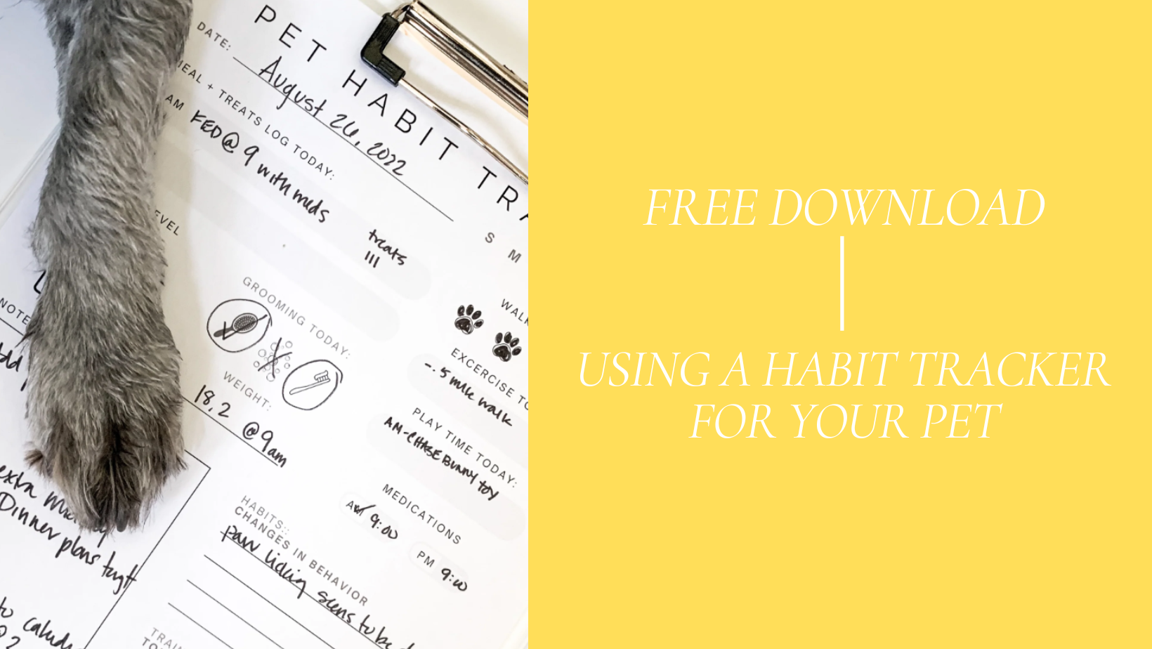 Using a Habit Tracker for Your Pets