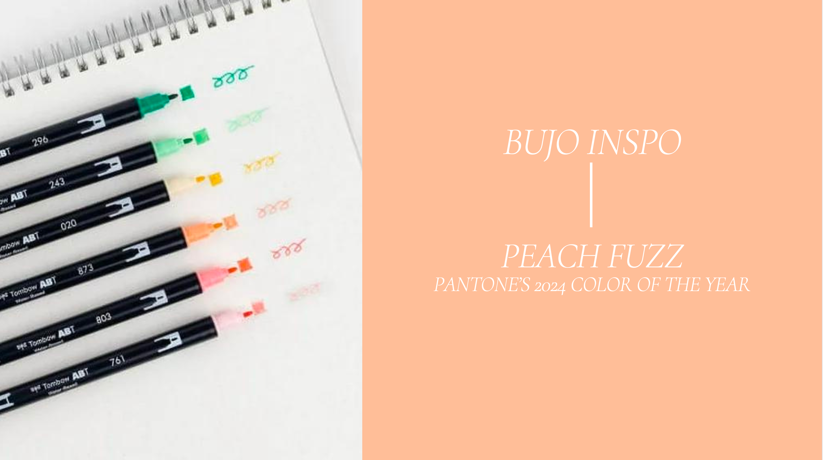 Pantone 2024 Color of the year... Peach Fuzz!