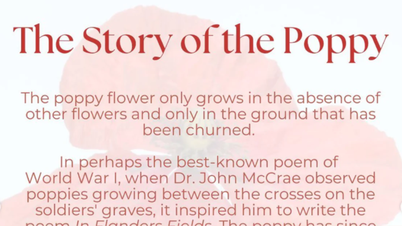 The Story of the Poppy | From Raven's Writing Desk | BBB Supplies