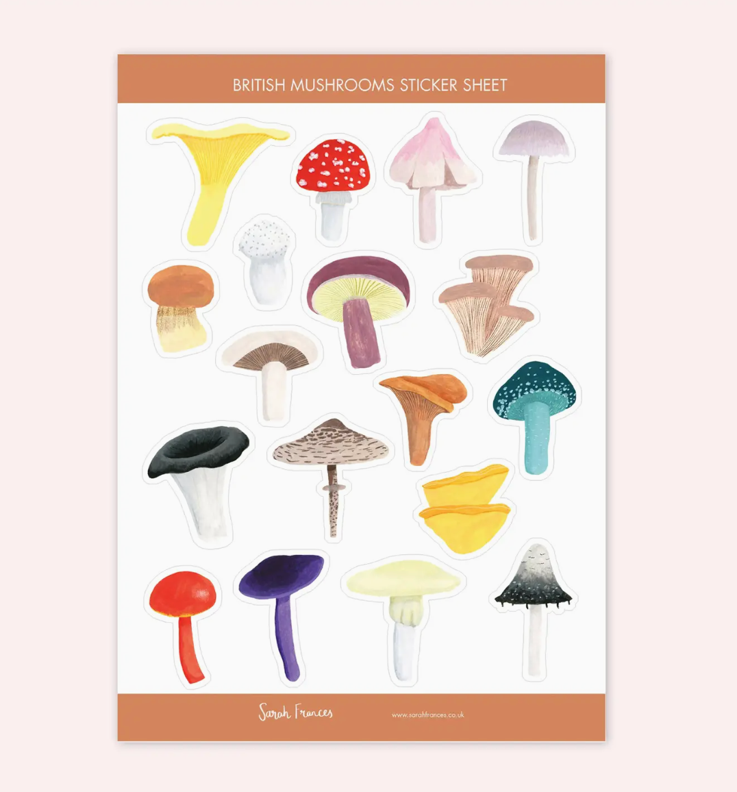 Colorful Mushrooms Illustrations Stickers