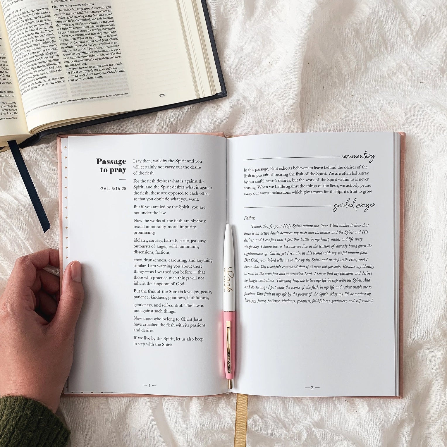  A Bible journal designed to help users explore the theme of renewal and new beginnings through scripture and reflection. This planner is from The Daily Grace Co. and sold at BBB Supplies Craft Shop.