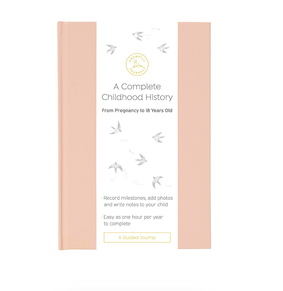 This peach color childhood history journal has prompts to help parents write their child's story in each phase as a keepsake. This journal is from promptly and sold at BBB Supplies Craft Shop.