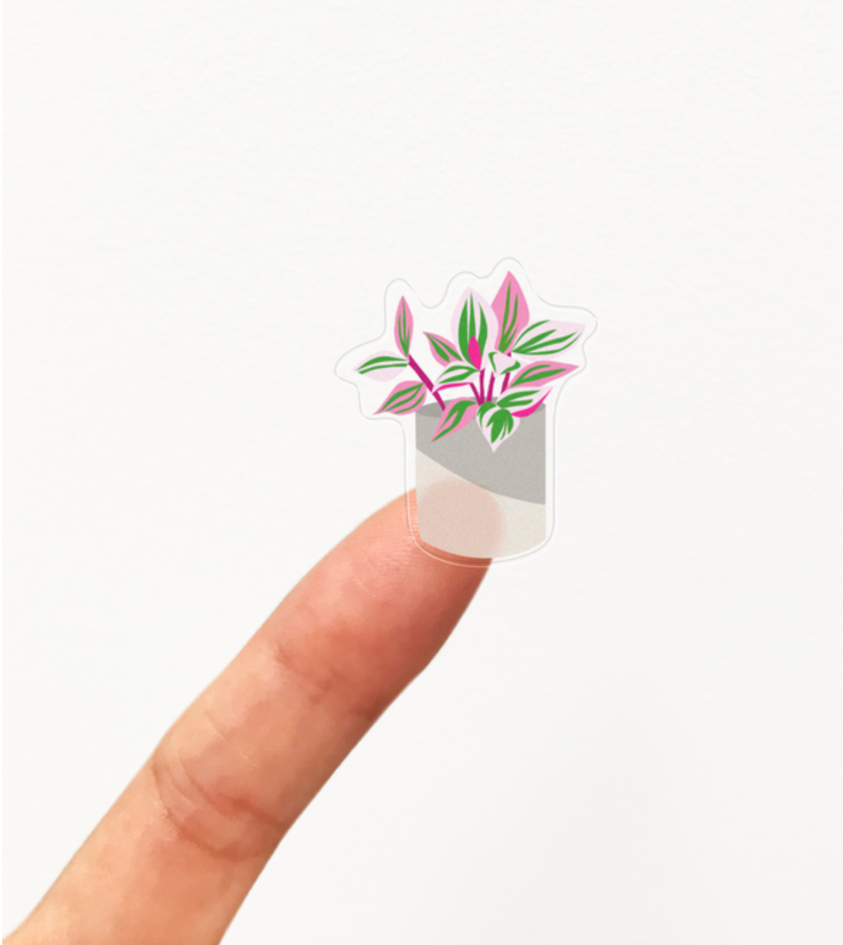 photo showing size of assorted house plant sticker sheet with leafy green indoor plant designs