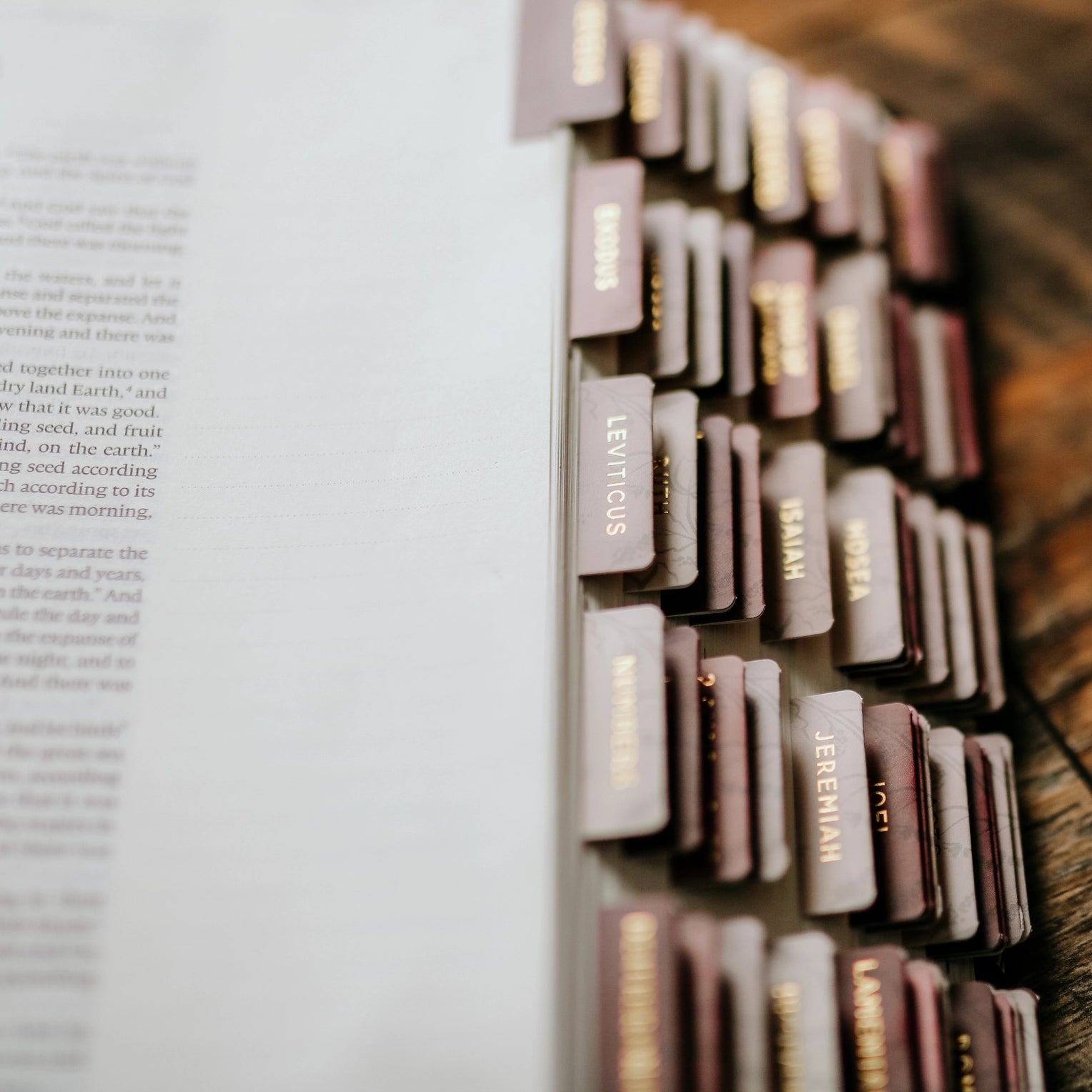 These beautifully decorative and vibrant books of the bible tabs are self-adhesive, making it easy to navigate your Bible during your bible journaling and Bible Studies. Available in several colors at BBB Supplies Craft Shop. 