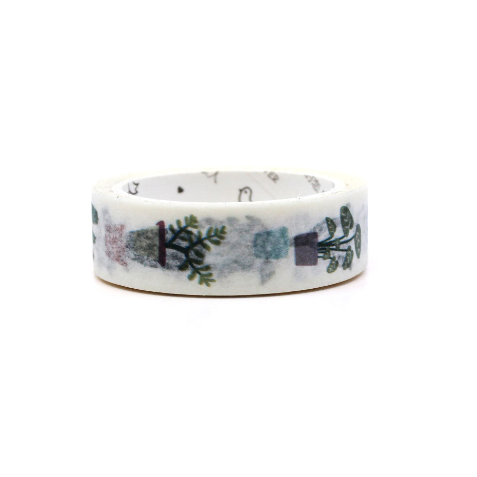 Decorative succulent and hanging plant washi tape unrolled on white paper.