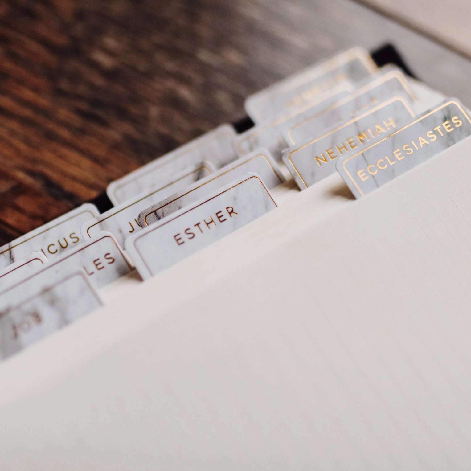 These beautifully decorative and vibrant books of the bible tabs are self-adhesive, making it easy to navigate your Bible during your bible journaling and Bible Studies. Available in several colors at BBB Supplies Craft Shop. 