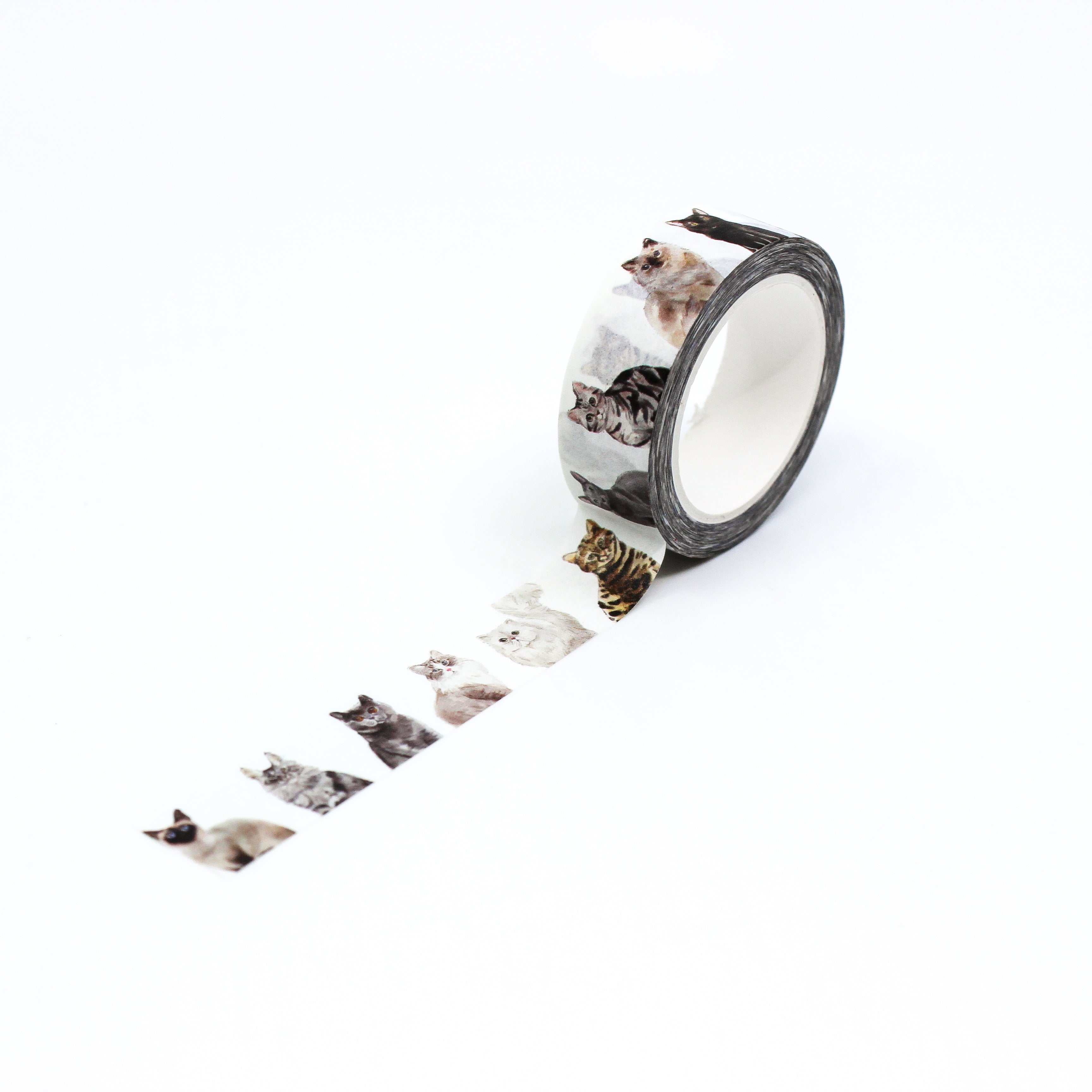 This is a full pattern repeat view of black, brown and cute kitty themed washi tape from BBB Supplies Craft Shop