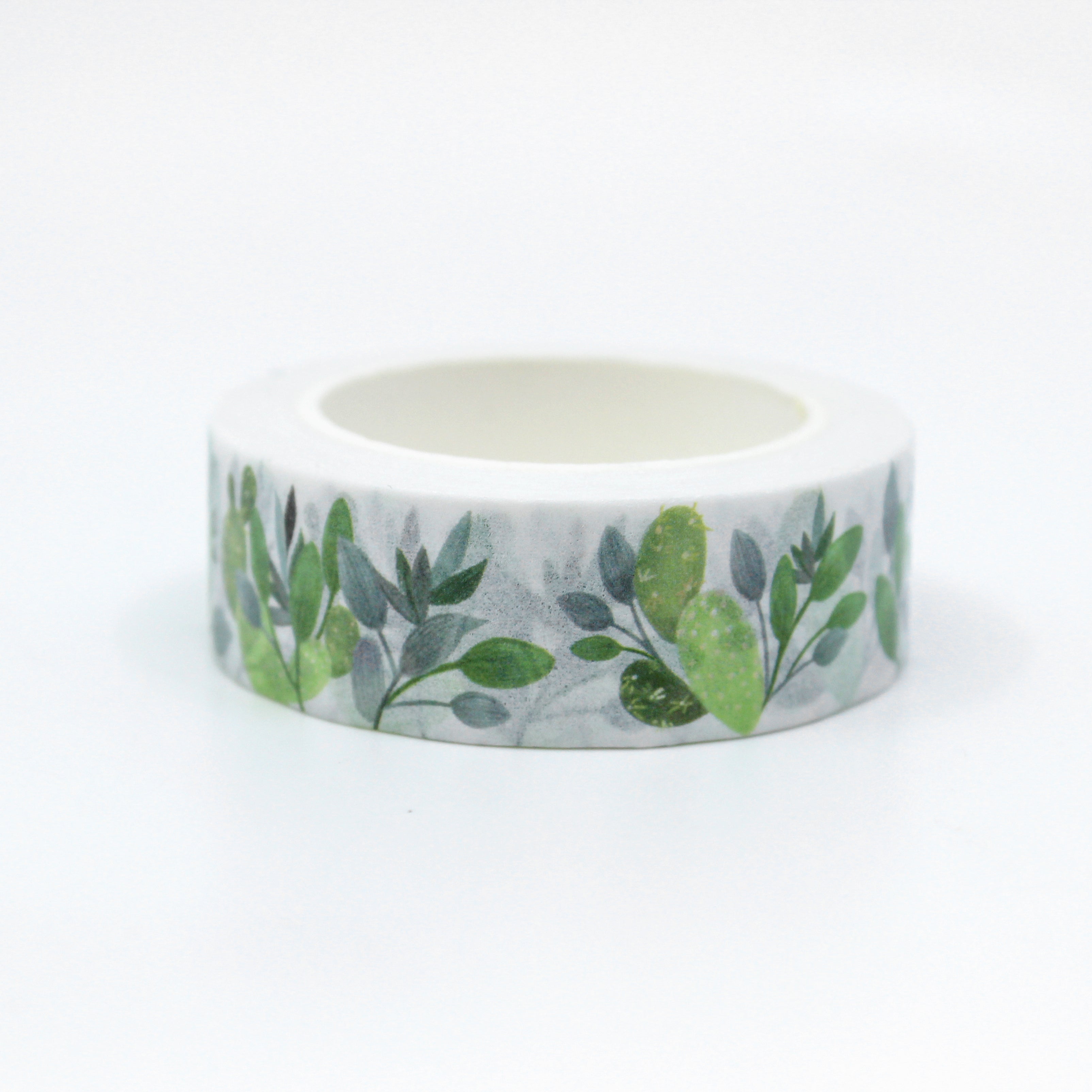 This a cute view of cactus and succulent collections pattern washi tape from BBB Supplies Craft Shop